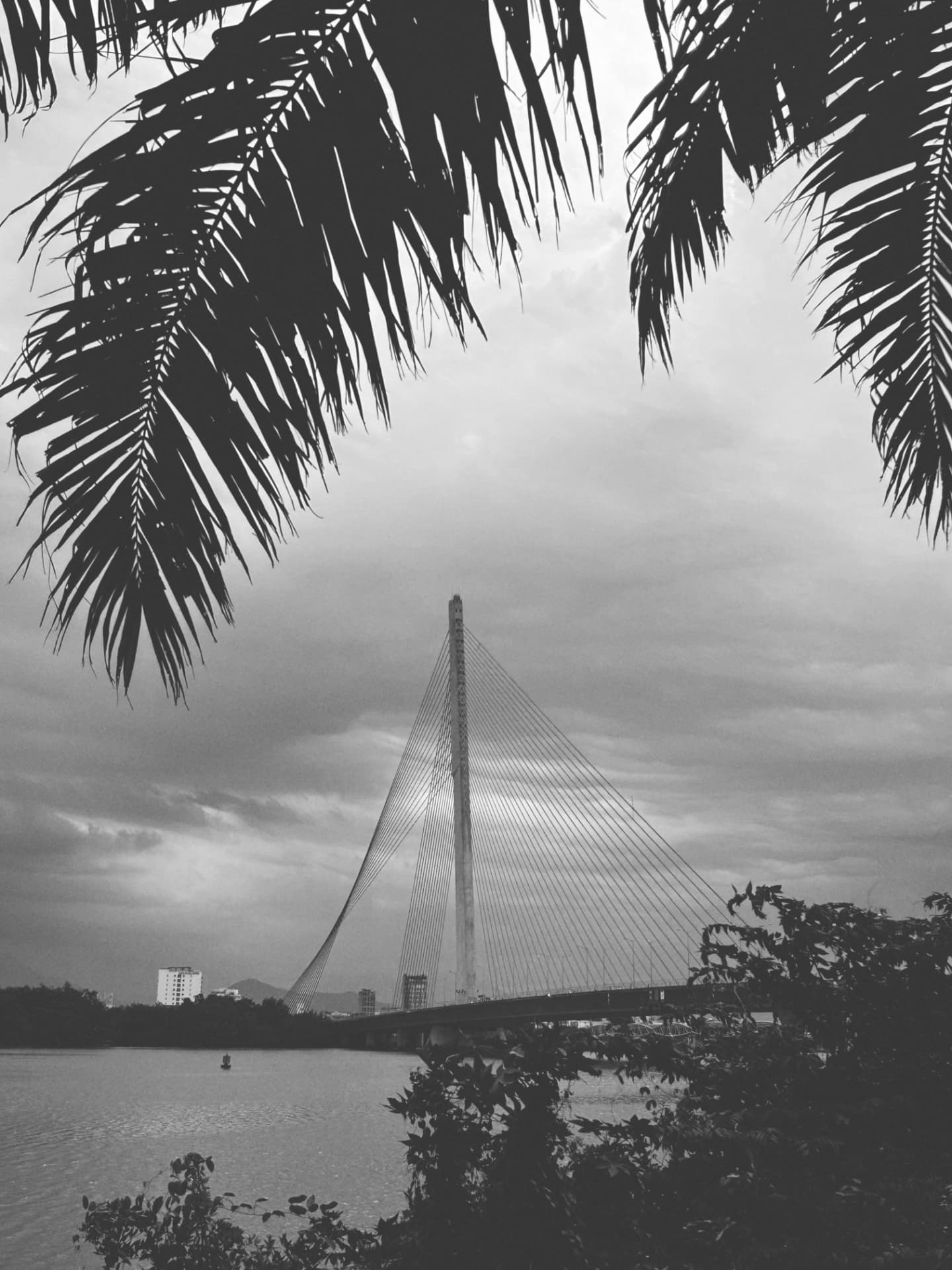 A cable-stayed bridge framed by overhanging palm fronds
