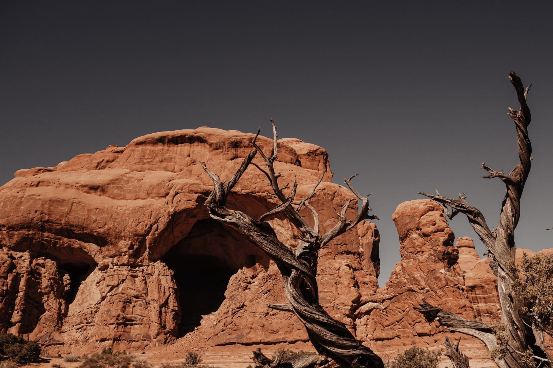 A red rock arch with twisted dead trees beneath a dark sky