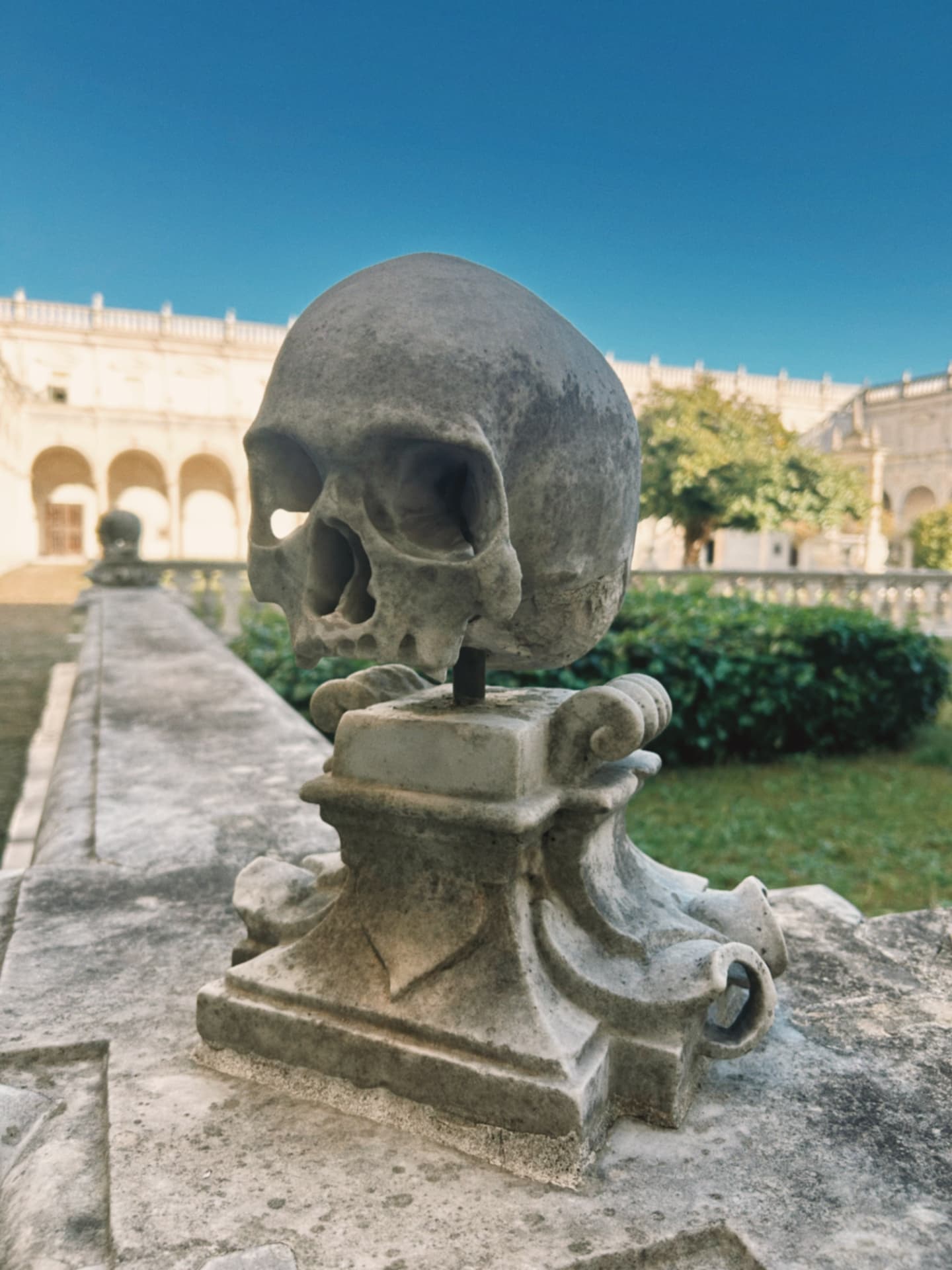 a carved stone skull on a pedestal in a cloister garden