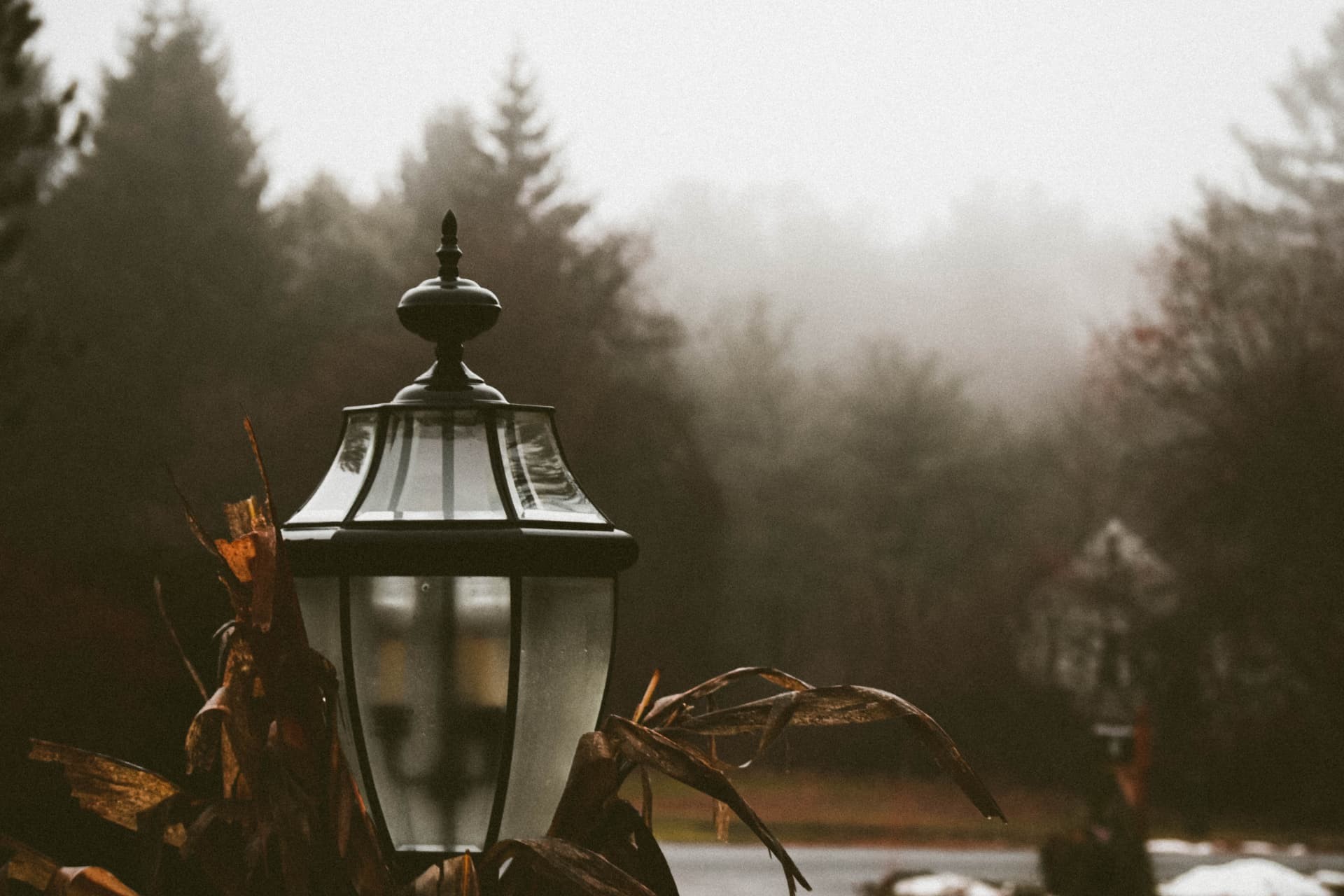 A garden lantern among dried corn stalks in fog