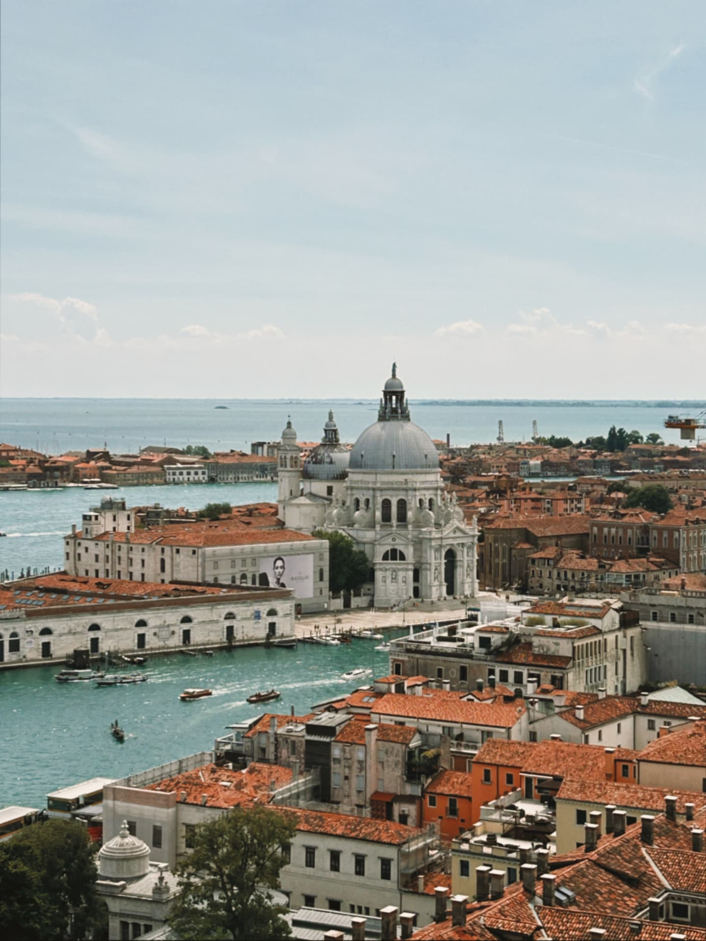 Venice rooftops and the Salute dome seen from above