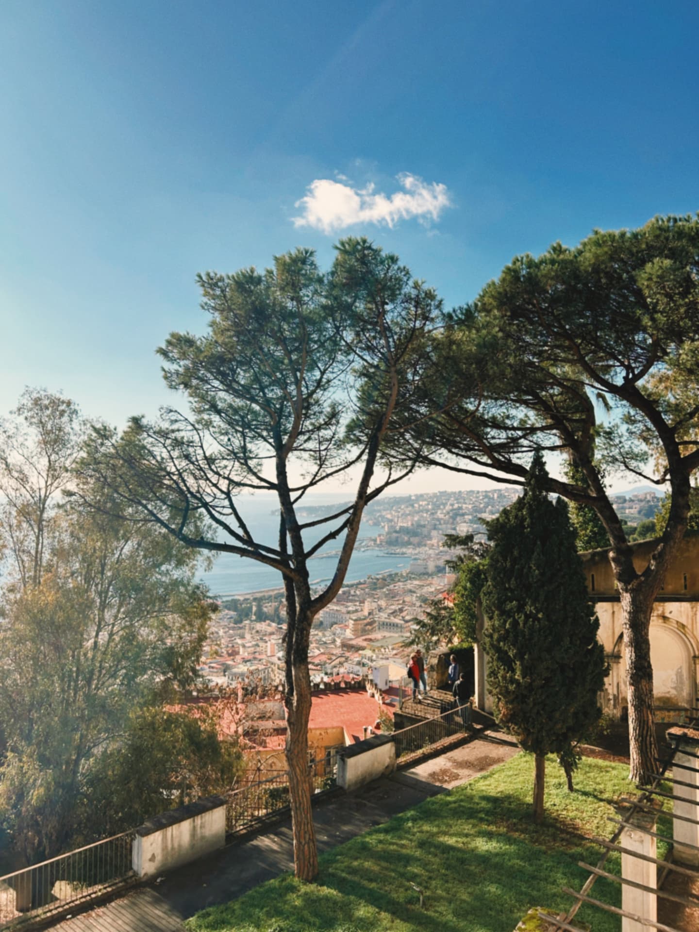city and sea seen through garden trees