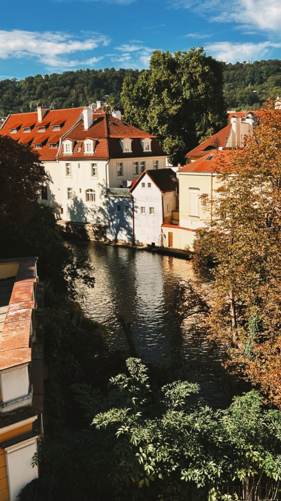 canal-side houses with red roofs in autumn
