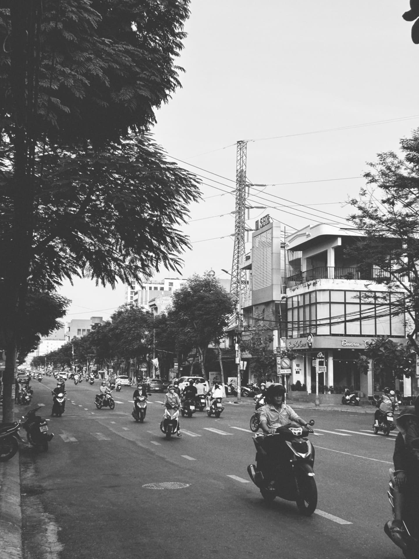 A tree-lined boulevard with riders passing a corner shop