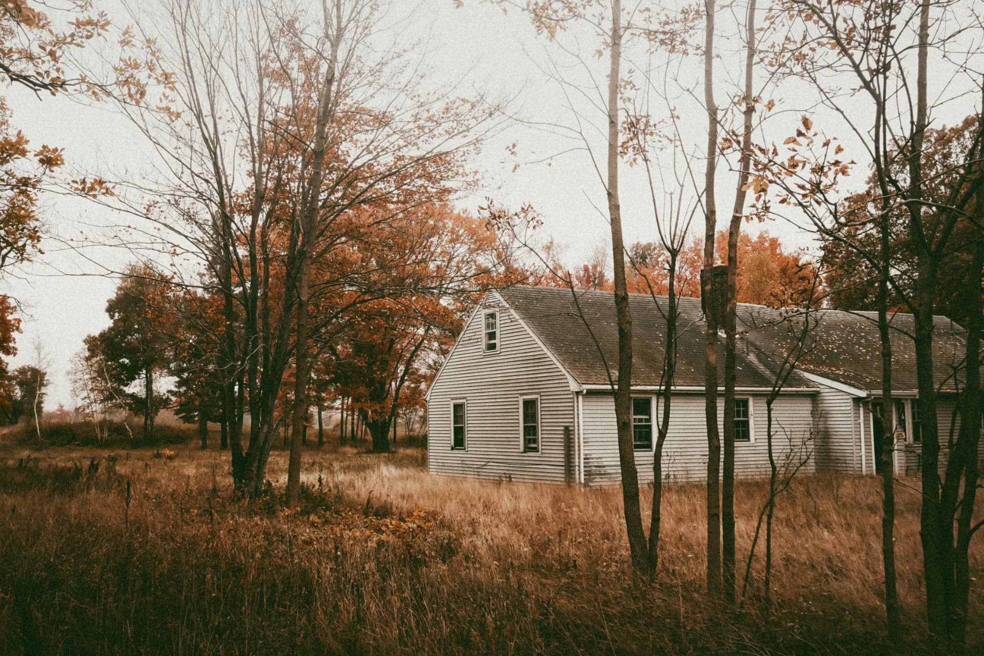 An abandoned pale house among autumn trees and dry grass