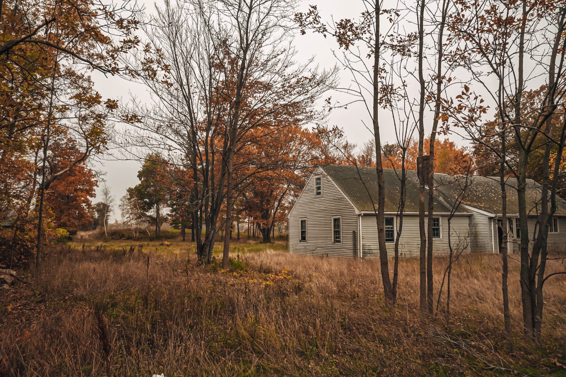 A weathered grey house standing in a field of dry grass and autumn trees