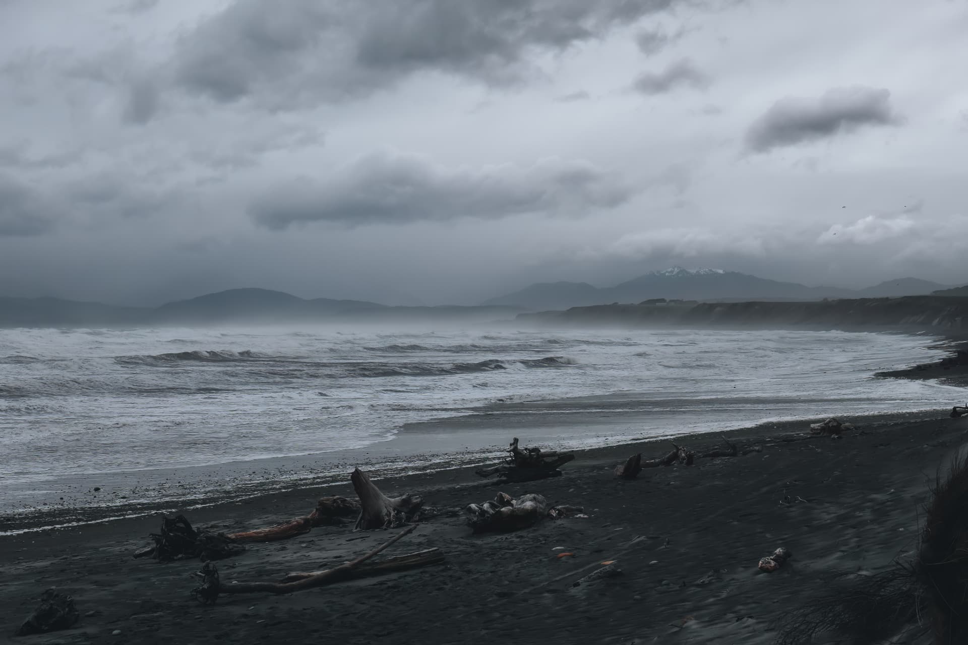 A storm beach scattered with driftwood, snowy peaks beyond