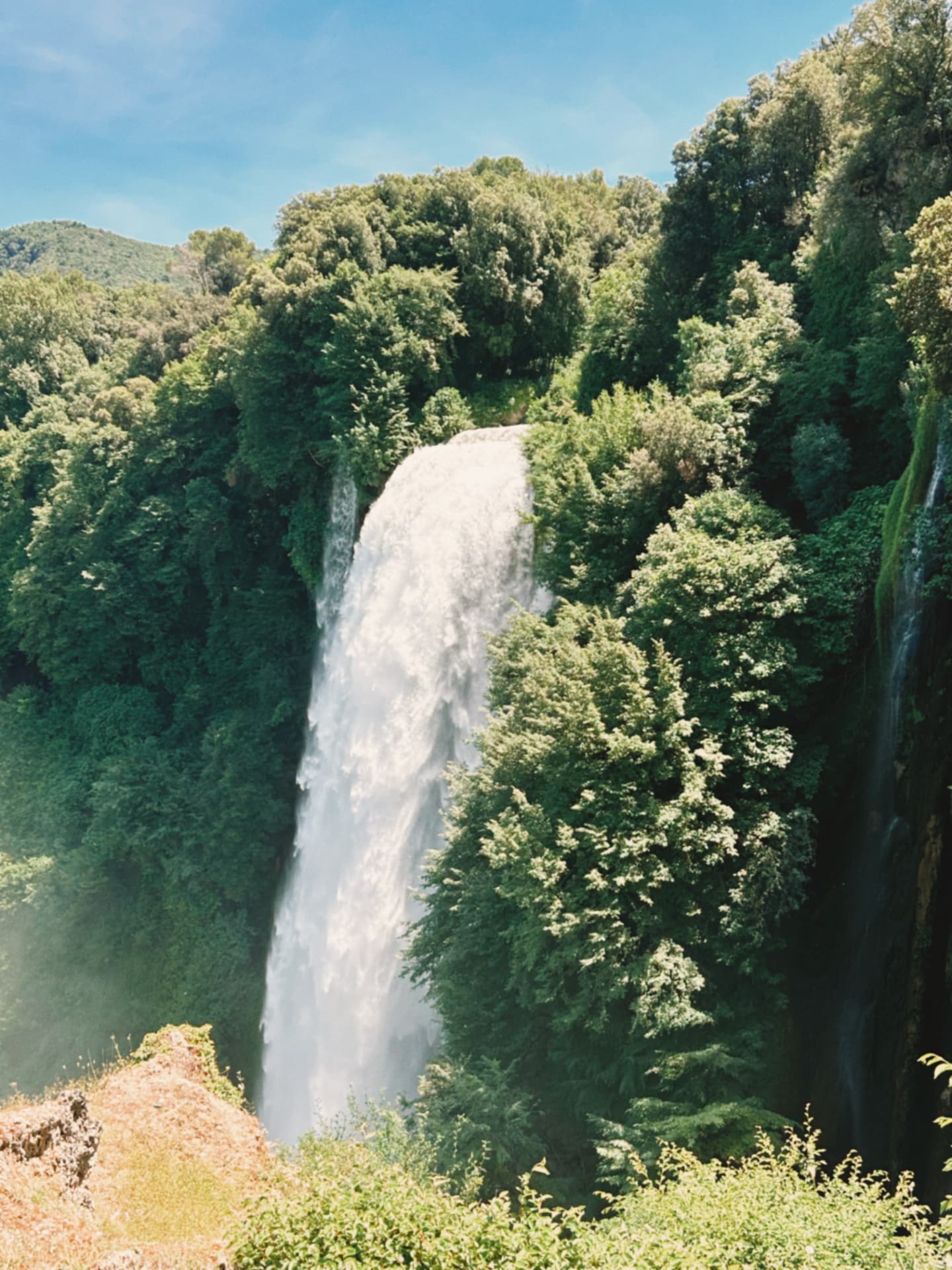 a waterfall in dense green woodland